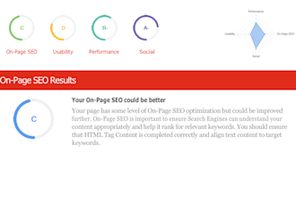 create a detailed SEO audit report and analysis