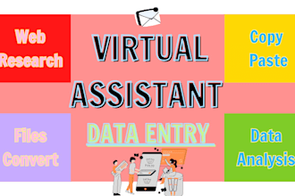 be your virtual data entry assistant and expert service provider