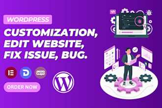 modify edit, rebuild customize wordpress website update and fix elementor issues