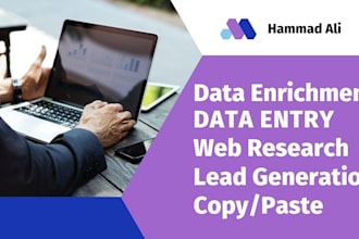do data enrichment, data entry in excel and web research