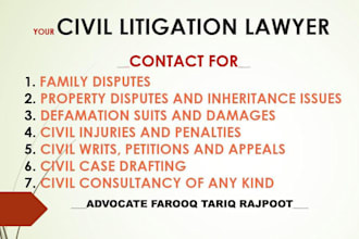 be your lawyer for civil litigation and case drafting