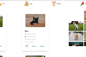 develop a fast and responsive website with tailwind CSS and react