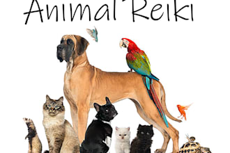 do a distant reiki session for your pet for a week