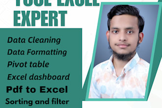 do data cleaning,formatting,pivot table