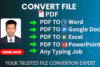 convert PDF to word, excel, powerpoint, google docs, data entry, VA