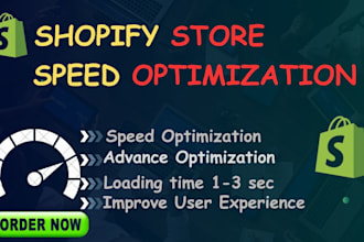 do shopify speed optimization,website sucurity,increase shopify speed,page speed