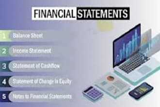 prepare financial statements like balance sheet and profit and loss