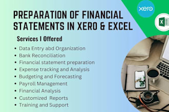 do balance sheet, profit and loss using xero, and excel