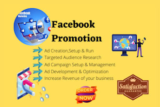 run facebook ads, campaign, fb ads manager, instagram ads, lead generation, meta