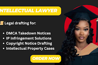 help you with dmca takedown notice for IP, copyright infringement cases