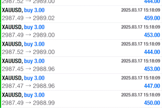 manage mt5 mt4 account, account management with proper risk