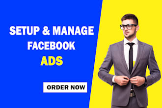 set up, manage, fix facebook ads, business manager, ads manager