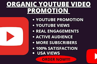 do organic youtube video channel promotion to get organic 1 million usa views