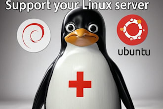 be your technical support for your debian or ubuntu linux server and services