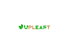do modern and innovative unique leaf logo design for your business
