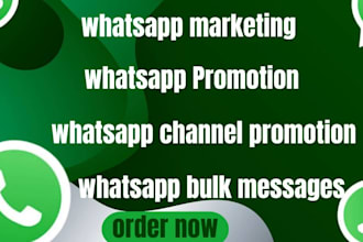 rank whatsapp channel, website promotion, boost sales, mass dms, channel manager