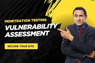 perform website penetration testing and vulnerability assessment