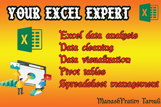 excel data cleaning, graphs, charts, pivot table, , PDF to excel and dashboard