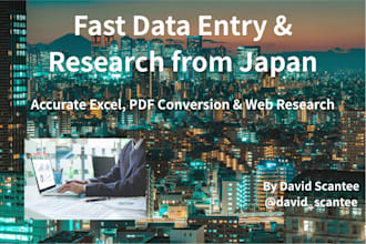 deliver fast data entry, file conversion and web research from japan