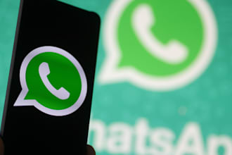 send bulk message to grow any business promotion,whatsapp channel,ads,mass dm