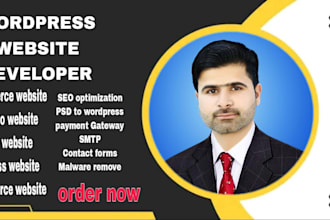 design clean and responsive wordpress website development
