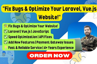 laravel bug fixes, vue bug fixes software development