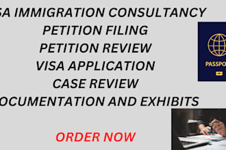 usa immigration consultant, eb2 niw, change of status, business, family visas