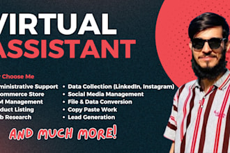 be your virtual assistant for data entry and admin support