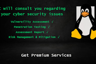 do professional web app penetration testing