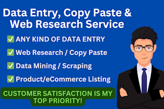 do any type of excel data entry, copy paste and web research
