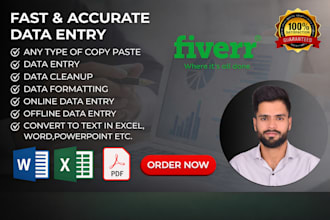do data entry excel data cleanup and formatting