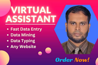 be your virtual assistant for data entry and any  website