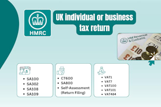 prepare UK tax return filing for individual or business