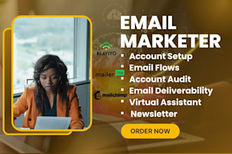 klaviyo mailchimp mailerlite expert, landing page, email flow, newsletter, audit