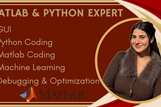 do matlab and python programming for your projects and tasks