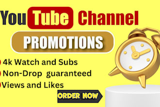 provide youtube organic 1000 subscriber by active audience