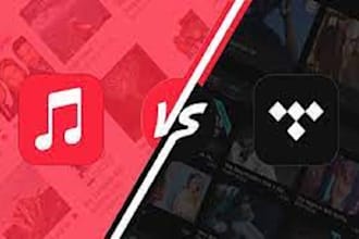 organically do tidal, itune, napster and audiomack music promotion to gain reach
