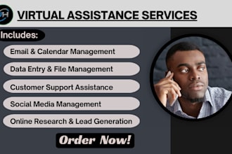 be your professional virtual assistant for administrative, social media tasks