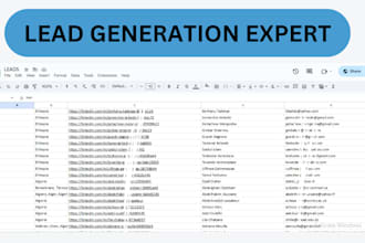 provide b2b lead generation, send cold email marketing to your target audience