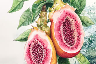 paint beautiful botanical illustrations of flowers, fruits, and plants