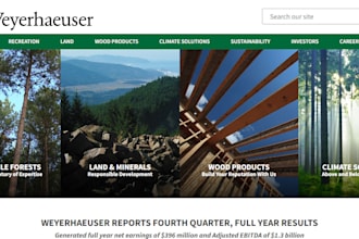 design wood product timber lumber tree furniture landing page wood website