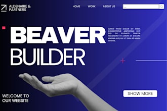 build flatsome wordpress website with betheme beaver builder kadence astra avada
