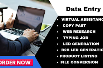 do fast data entry, typing jobs, lead generation, web research etc