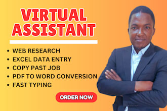 do data entry, web research, copy paste, pdf to word, excel work, typing