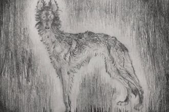 illustrate a graphite sketch for your needs