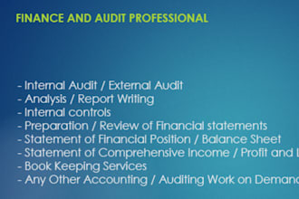 do external and internal audits, and financial statements