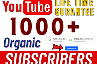 provide fast organic 1k subscribes for youtube monetization