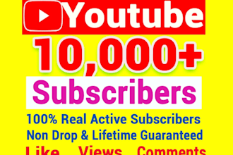 provide fast organic 1k subscribes for youtube monetization