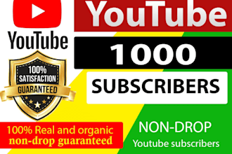 provide fast organic 1k subscribes for youtube monetization
