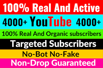 provide fast organic 1k subscribes for youtube monetization